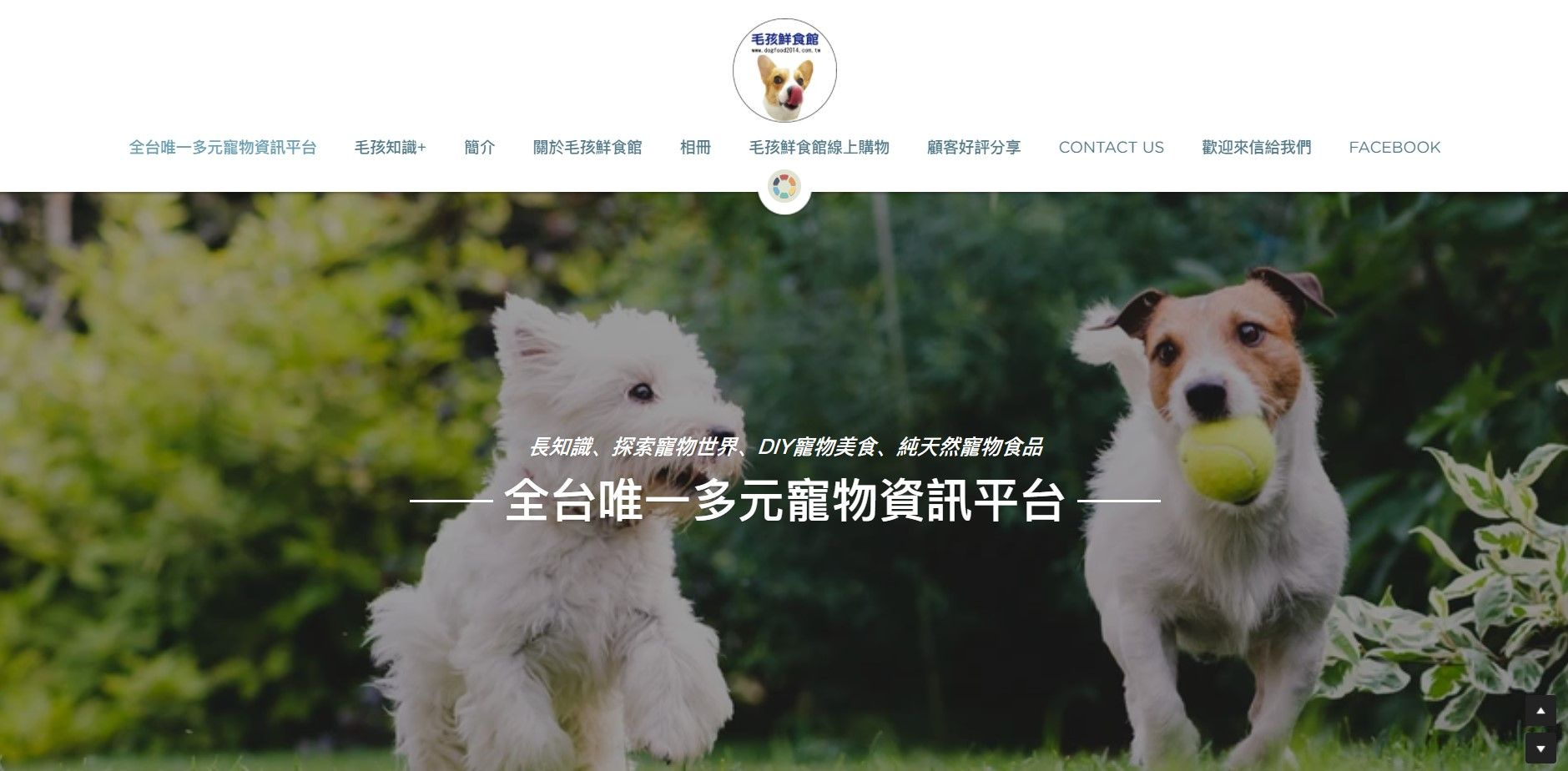 上线了建站案例,禁止转载 上线了建站案例,禁止转载